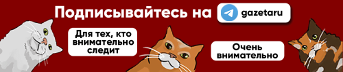 Пять лучших ноутбуков для покупки в 2023 году  Пять лучших ноутбуков для покупки в 2023 году